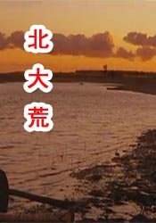 国产区成人精品视频